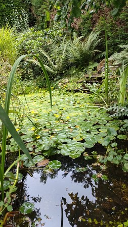 Medium property photo - Graaf de Hompeschstraat 2, 6109 AK Ohé en Laak